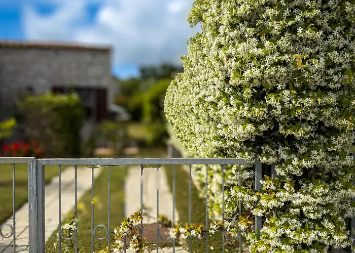 Nicola Jago Villa Castiadas