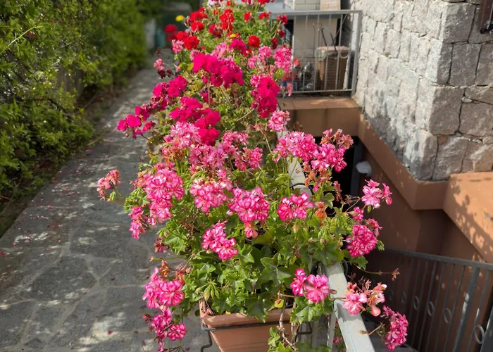 Nicola Jago Castiadas